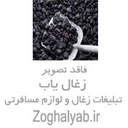 فروش ذغال انگور شال